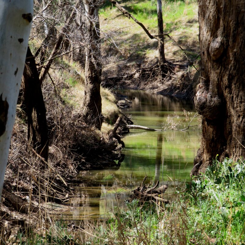natural stream water monitoring
